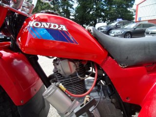 /photos/9738/054230ce-2cb8-0f8d-56b0-c17480d63a02_i320x240.jpg