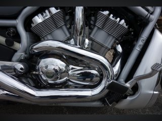 /photos/9738/768a043b-82d2-4667-692a-9158dd2a270a_i320x240.jpg